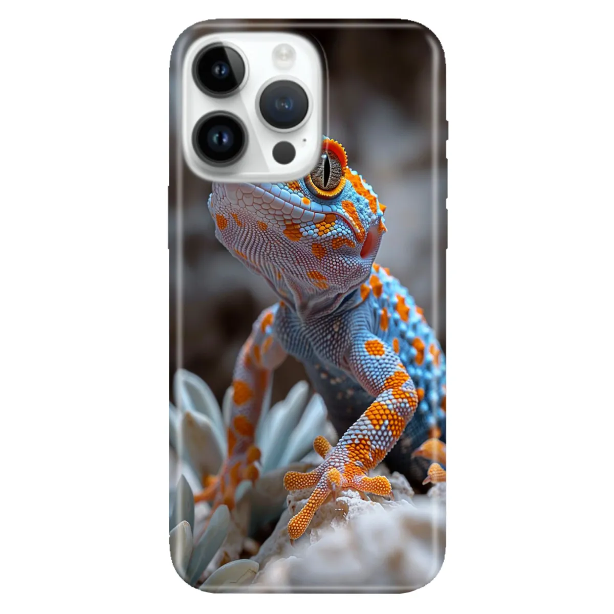 Gecko